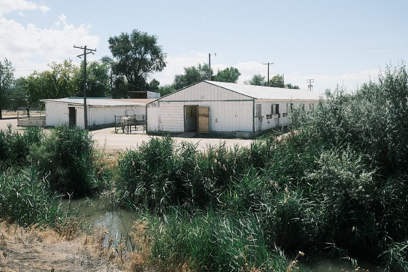Sample image of Fujicolor Superia 800